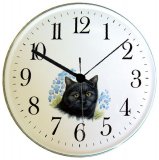 Keramik Wanduhr (Motiv Katze) schwarz, Hellblaurand