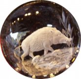 Kristall Briefbeschwerer, rund, Wildschwein